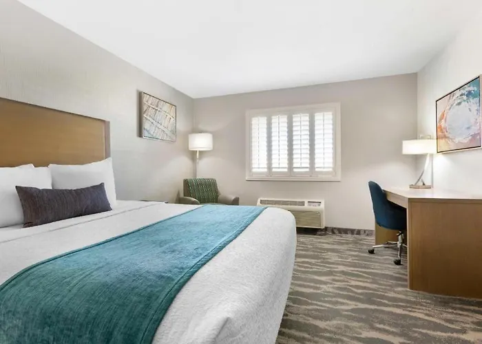 Western Hotel 3*