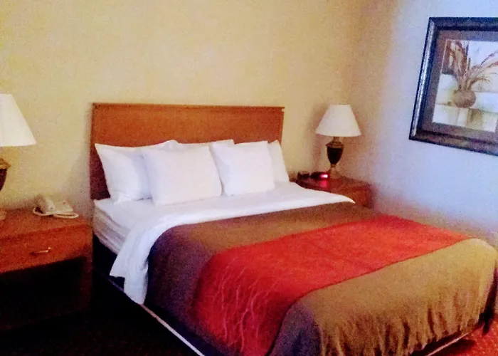 Western 3* Safford